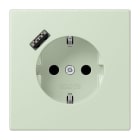 JUNG - SCHUKO Steckdose 16 A 250 V ~, USB 1 x Typ ASAFETY+, Serie LS, vert anglâis pale