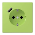 JUNG - SCHUKO Steckdose 16 A 250 V ~, mit USB 1 x Typ A,  SAFETY+, Serie LS, vert clair