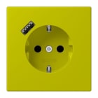 JUNG - SCHUKO Steckdose 16 A 250 V ~, USB 1 x Typ ASAFETY+, Serie LS, vert olive vif