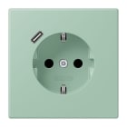 JUNG - SCHUKO Steckdose 16 A 250 V ~, USB 1 x Typ CSAFETY+, vert anglais clair