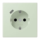 JUNG - SCHUKO Steckdose 16 A 250 V ~, USB 1 x Typ CSAFETY+, Serie LS, vert anglâis pale