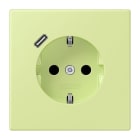 JUNG - SCHUKO Steckdose 16 A 250 V ~, USB 1 x Typ CSAFETY+, Serie LS, vert jaune clair