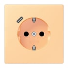 JUNG - SCHUKO Steckdose 16 A 250 V ~, USB 1 x Typ CSAFETY+, terre sienne claire 59