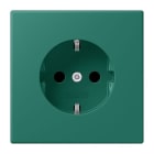 JUNG - SCHUKO Steckdose, 16 A 250 V ~, Serie LS, vert anglais