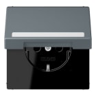JUNG - SCHUKO Steckdose, 16 A 250 V ~,SchriftfeldSAFETY+, Klappdeckel, gris 59