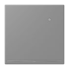 JUNG - LED-Orientierungslicht mit integriertem Helligkeitssensor, Serie LS, gris 31