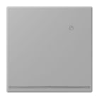 JUNG - LED-Orientierungslicht mit integriertem Helligkeitssensor, Serie LS, gris moyen