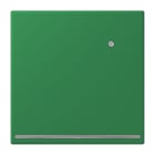 JUNG - LED-Orientierungslicht mit integriertem Helligkeitssensor, Serie LS, vert foncé