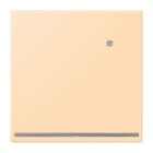 JUNG - LED-Orientierungslicht mit integriertem Helligkeitssensor, Serie LS, ocre