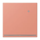JUNG - LED-Orientierungslicht mit integr. Helligkeitssensor, l'ocre rouge moyen