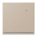 JUNG - LED-Orientierungslicht mit integr. Helligkeitssensor, ombre naturelle claire