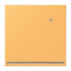 JUNG - LED-Orientierungslicht mit integr. Helligkeitssensor, Serie LS, ocre jaune clair