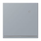 JUNG - LED-Orientierungslicht mit integr. Helligkeitssensor, Serie LS, gris clair 59