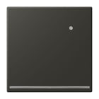 JUNG - LED-Orientierungslicht mit integr. Helligkeitssensor, ombre naturelle 59