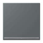 JUNG - LED-Orientierungslicht, Thermoplast lackiert, Serie LS, gris foncé 31