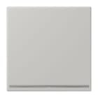 JUNG - LED-Orientierungslicht, Thermoplast lackiert, Serie LS, gris clair 31
