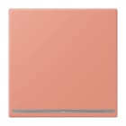 JUNG - LED-Orientierungslicht, Thermoplast lackiert, Serie LS, l'ocre rouge moyen