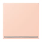 JUNG - LED-Orientierungslicht, Thermoplast lackiert, Serie LS, l'ocre rouge clair