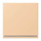 JUNG - LED-Orientierungslicht, Thermoplast lackiert, Serie LS, terre sienne claire 31