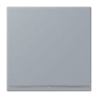 JUNG - LED-Orientierungslicht, Thermoplast lackiert, Serie LS, gris clair 59