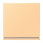 JUNG - LED-Orientierungslicht, Thermoplast lackiert, Serie LS, terre sienne claire 59