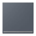 JUNG - LED-Orientierungslicht, Thermoplast lackiert, Serie LS, gris fonce 59