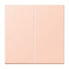 JUNG - LB-Management Taster 2fach, Duroplast lackiert, Serie LS, l'ocre rouge clair