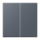 JUNG - LB-Management Taster 2fach, Duroplast lackiert, Serie LS, gris fonce 59