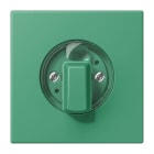 JUNG - Abdeckung für Drehschalter, Serie LS, vert 59