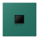 JUNG - Abdeckung (gerastet) für Modular-Jack-Steckbuchsen 1fach, Serie LS, vert anglais