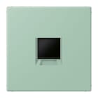 JUNG - Abdeckung für Modular-Jack-Steckbuchsen 1fach, Serie LS, vert anglais clair