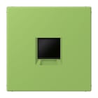 JUNG - Abdeckung (gerastet) für Modular-Jack-Steckbuchsen 1fach, Serie LS, vert 31