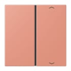 JUNG - Taste 1fach, mit Pfeilsymbolen, F40, Serie LS, l'ocre rouge moyen