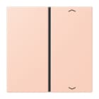 JUNG - Taste 1fach, mit Pfeilsymbolen, F40, Serie LS, l'ocre rouge clair