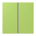 JUNG - Tastensatz 2fach, F40, Serie LS, vert clair
