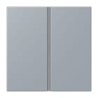 JUNG - Tastensatz 2fach, F40, Serie LS, gris clair 59