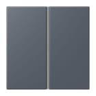 JUNG - Tastensatz 2fach, F40, Serie LS, gris fonce 59