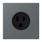 JUNG - Steckdose, US-Norm, 15 A 125 V ~, Schraubkl., ohne Krallen, gris foncé 31