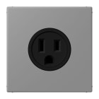 JUNG - Steckdose, US-Norm, 15 A 125 V ~, Schraubkl., ohne Krallen, Serie LS, gris 31