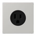 JUNG - Steckdose, US-Norm, 15 A 125 V ~, Schraubkl., ohne Krallen, gris clair 31