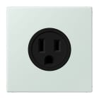 JUNG - Steckdose, US-Norm, 15 A 125 V ~, Schraubkl., ohne Krallen, céruléen pale