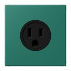 JUNG - Steckdose, US-Norm, 15 A 125 V ~, Schraubkl., ohne Krallen, vert anglais