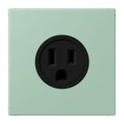 JUNG - Steckdose, US-Norm, 15 A 125 V ~, Schraubkl., ohne Krallen, vert anglais clair