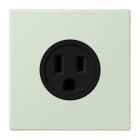JUNG - Steckdose, US-Norm, 15 A 125 V ~, Schraubkl., ohne Krallen, vert anglâis pale