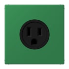 JUNG - Steckdose, US-Norm, 15 A 125 V ~, Schraubkl., ohne Krallen, Serie LS, vert foncé