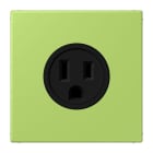 JUNG - Steckdose, US-Norm, 15 A 125 V ~, Schraubkl., ohne Krallen, Serie LS, vert clair