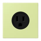 JUNG - Steckdose, US-Norm, 15 A 125 V ~, Schraubkl., ohne Krallen, vert jaune clair