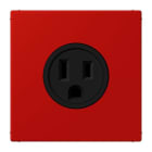 JUNG - Steckdose, US-Norm, 15 A 125 V ~, Schraubkl., ohne Krallen, rouge vermillon 31