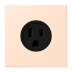 JUNG - Steckdose, US-Norm, 15 A 125 V ~, Schraubkl., ohne Krallen, Serie LS, rose pâle