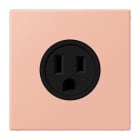 JUNG - Steckdose, US-Norm, 15 A 125 V ~, Schraubkl., ohne Krallen, Serie LS, rose clair